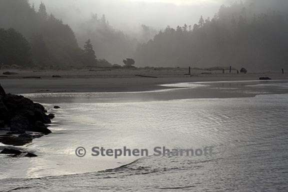 river edge 10 graphic